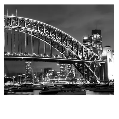Фото на холсте мост ч/б, размера 60x50