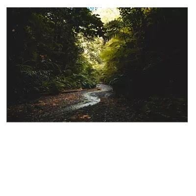 Фото на холсте «тропический ручей», 45 x 30 см