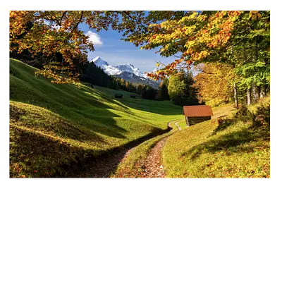 Фото на холсте дорога в зеленом лесу, размера 60x40