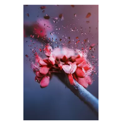 Фото на холсте абстрактный цветок, размера 60x90