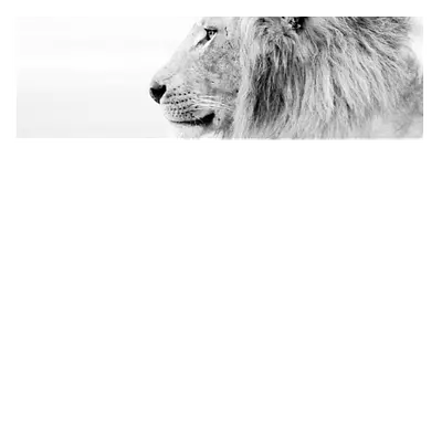 Фото на холсте лев в светлых тонах, размера 90x30