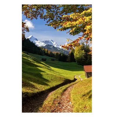 Фото на холсте дорога в зеленом лесу, размера 50x75