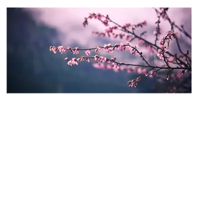 Фото на холсте сирень, размера 60x30