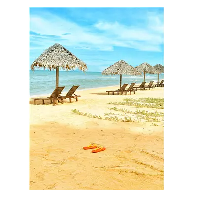 Фото на холсте песчаный пляж, размера 60x80