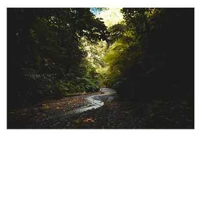 Фото на холсте тропический ручей, размера 75x50