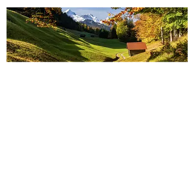 Фото на холсте дорога в зеленом лесу, размера 90x30