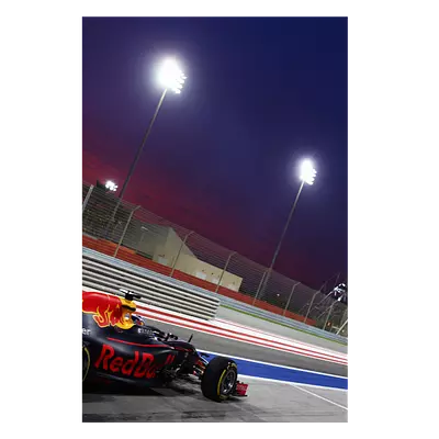 Фото на холсте red bull f1, размера 80x120