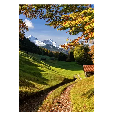 Фото на холсте дорога в зеленом лесу, размера 50x70