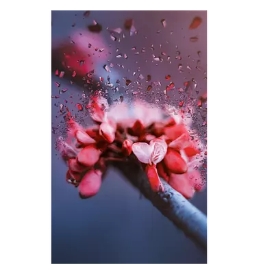 Фото на холсте абстрактный цветок, размера 20x30