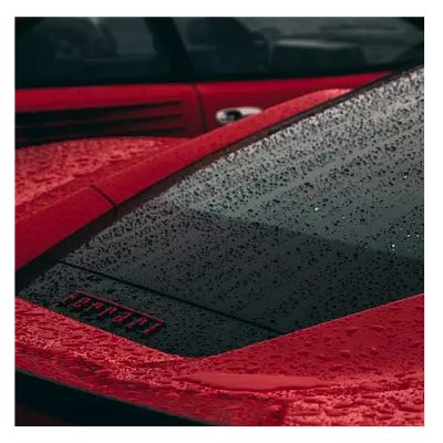 Фото на холсте красный феррари под дождем, размера 50x50