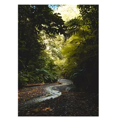 Фото на холсте тропический ручей, размера 30x40