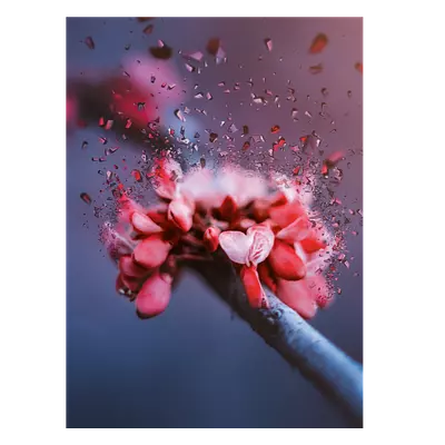 Фото на холсте абстрактный цветок, размера 30x40