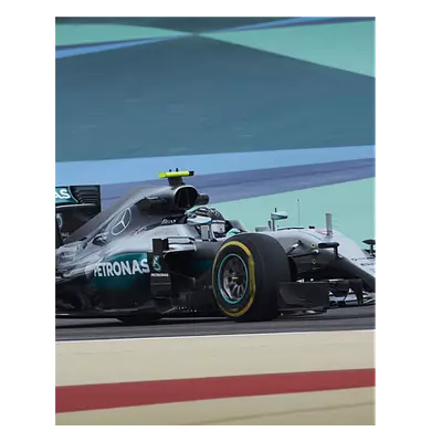 Фото на холсте f1 mercedes, размера 40x50