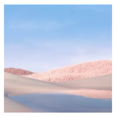 Фото на холсте белые поля, размера 40x40