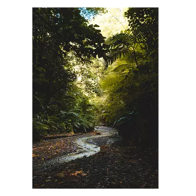 Фото на холсте тропический ручей, размера 50x70