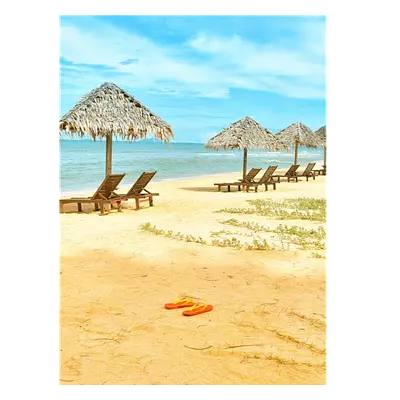 Фото на холсте песчаный пляж, размера 30x40