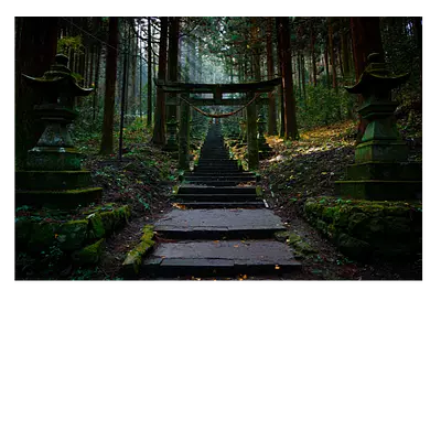 Фото на холсте лестница в лесу, размера 75x50