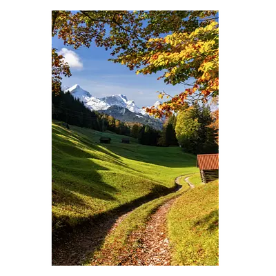 Фото на холсте дорога в зеленом лесу, размера 80x120