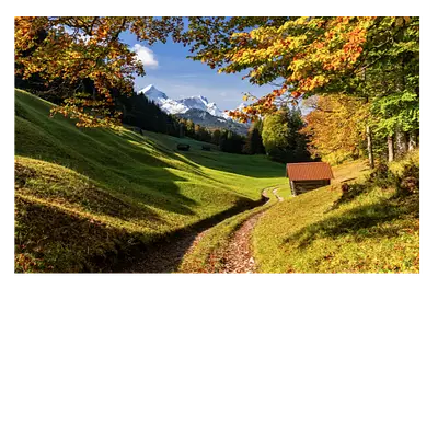 Дорога в зелёном лесу. размер 45 х 30. высокое качество. заказывайте!