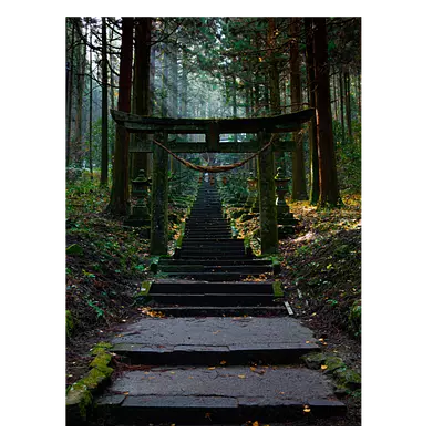 Фото на холсте лестница в лесу, размера 30x40