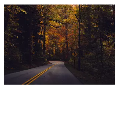 Фото на холсте дорога в лесу, 40х30 см, длина до 220 см.