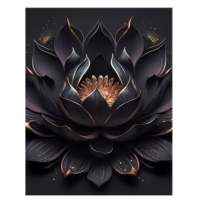 Фото на холсте чёрный цветок, размера 40x50