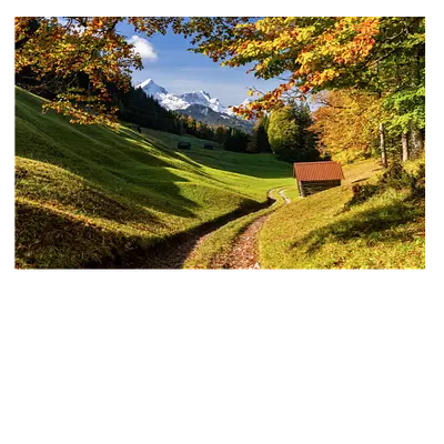 Фото на холсте «дорога в зелёном лесу», размер 30х20 см