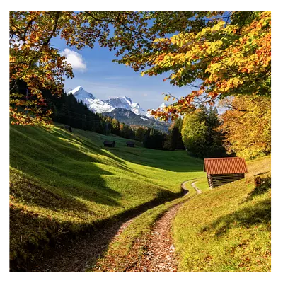 Фото на холсте дорога в зеленом лесу, размера 100x100