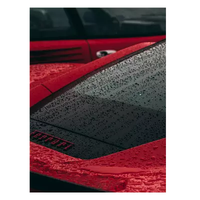 Фото на холсте красный феррари под дождем, размера 60x80