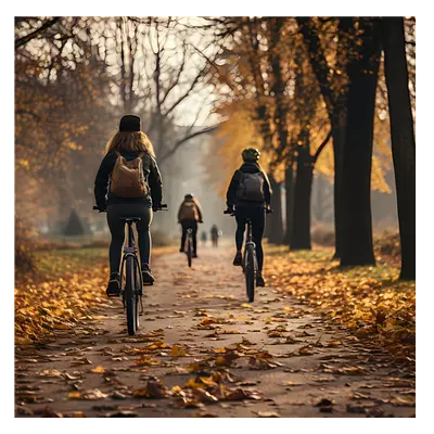 Фото на холсте велосипедисты в лесу, размера 100x100
