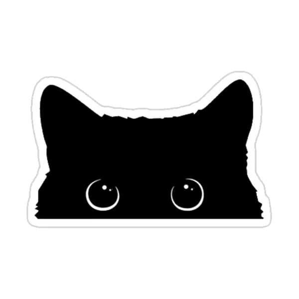 Чёрный кот
