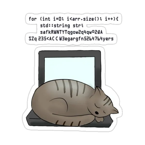 Кот-программист