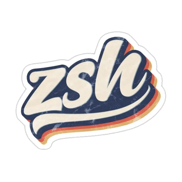 ZSH ретро винтаж поношенный | Zshell