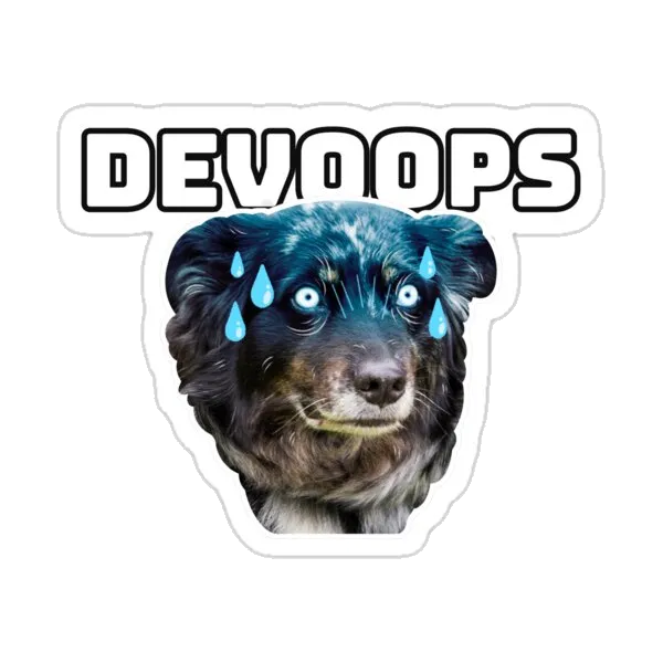 Футболка DevOops DevOps