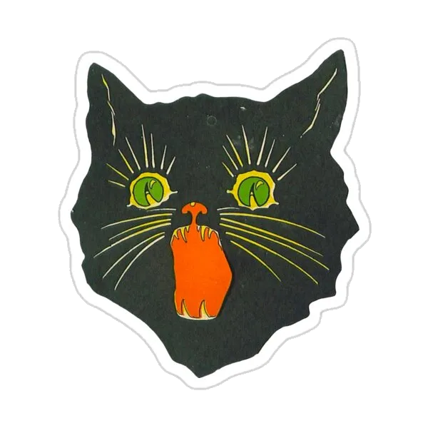 Злой кот