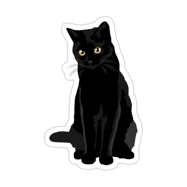 Чёрный кот