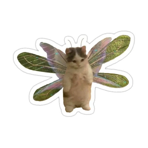 волшебный котёнок