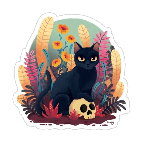 Череп котёнка