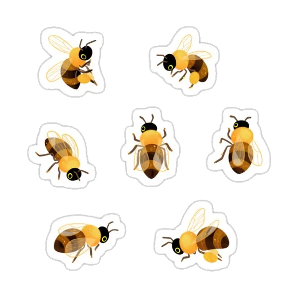 Пчёлы