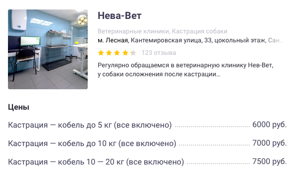 Цена дружбы: сколько стоит содержание питомца