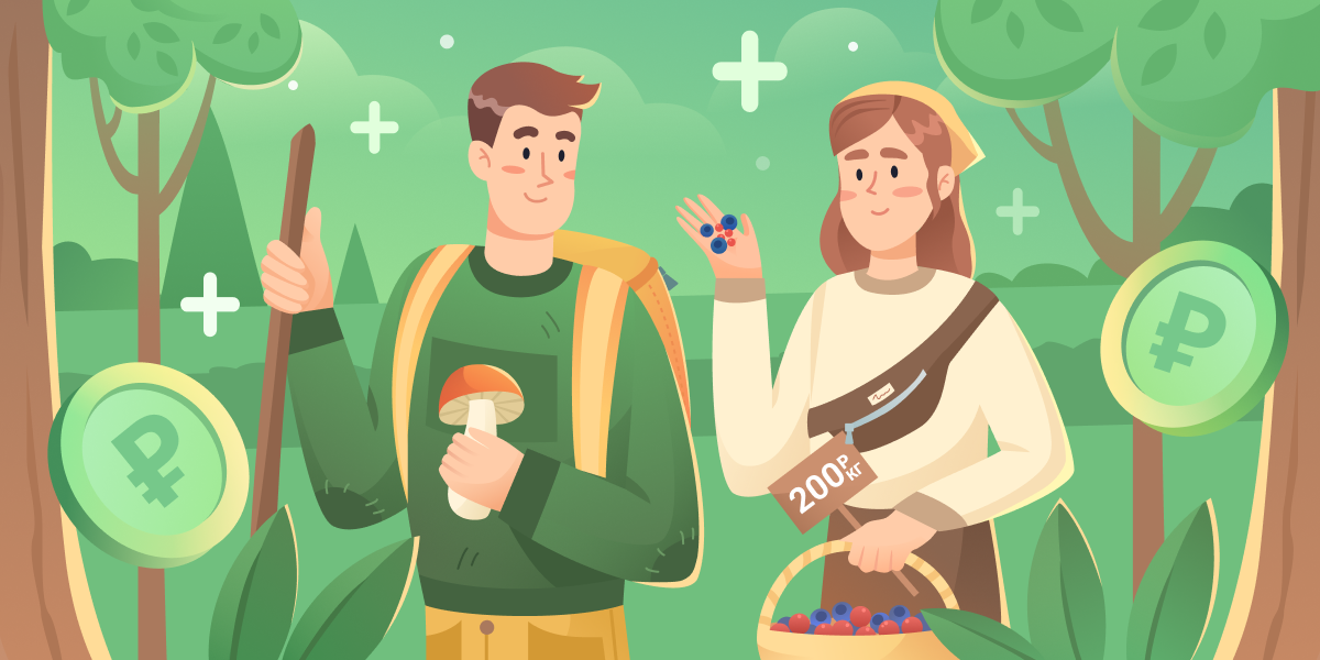 Как заработать на путёвку на сборе ягод и грибов? Как заработать на путёвку на сборе ягод и грибов?