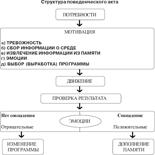 Структура акта