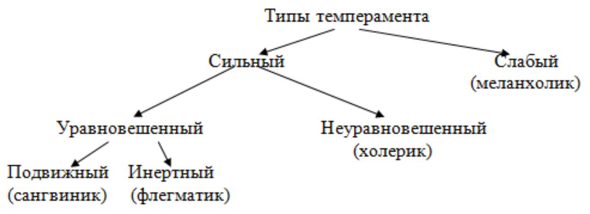 Структурно логическая схема темперамент и характер