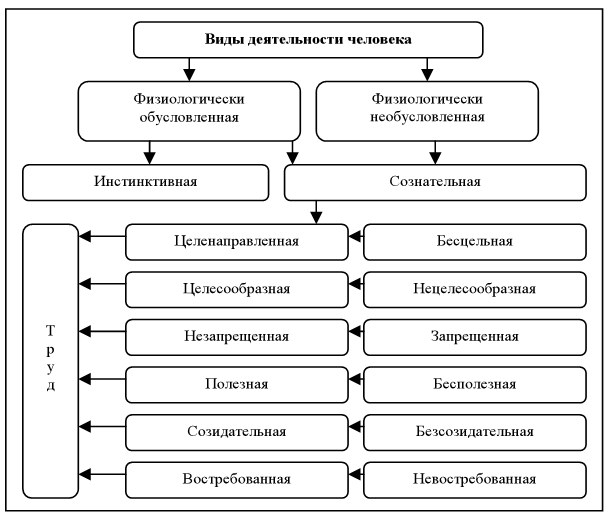 2 виды деятельности человека