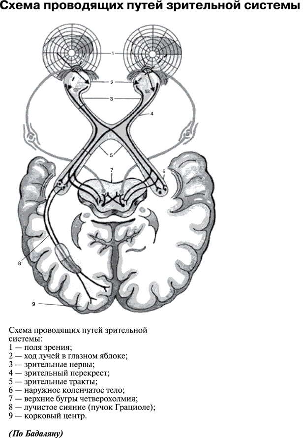         uMEDp