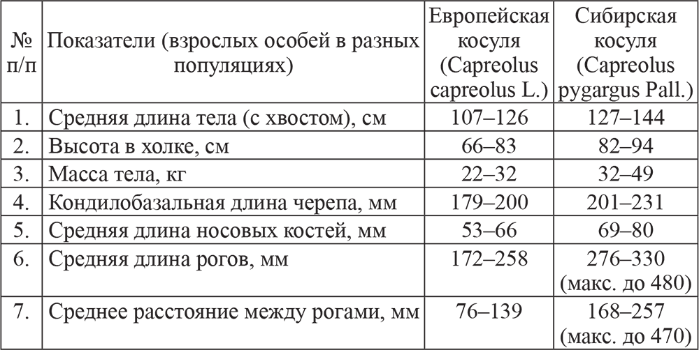 Сибирский возраст