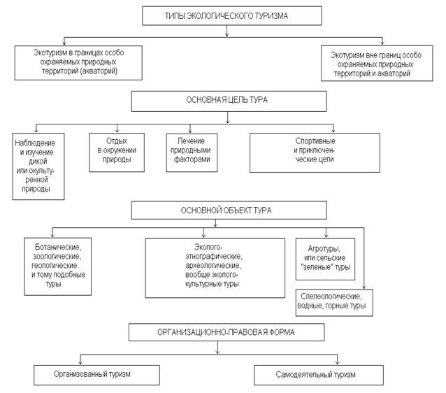 Виды туризма схема