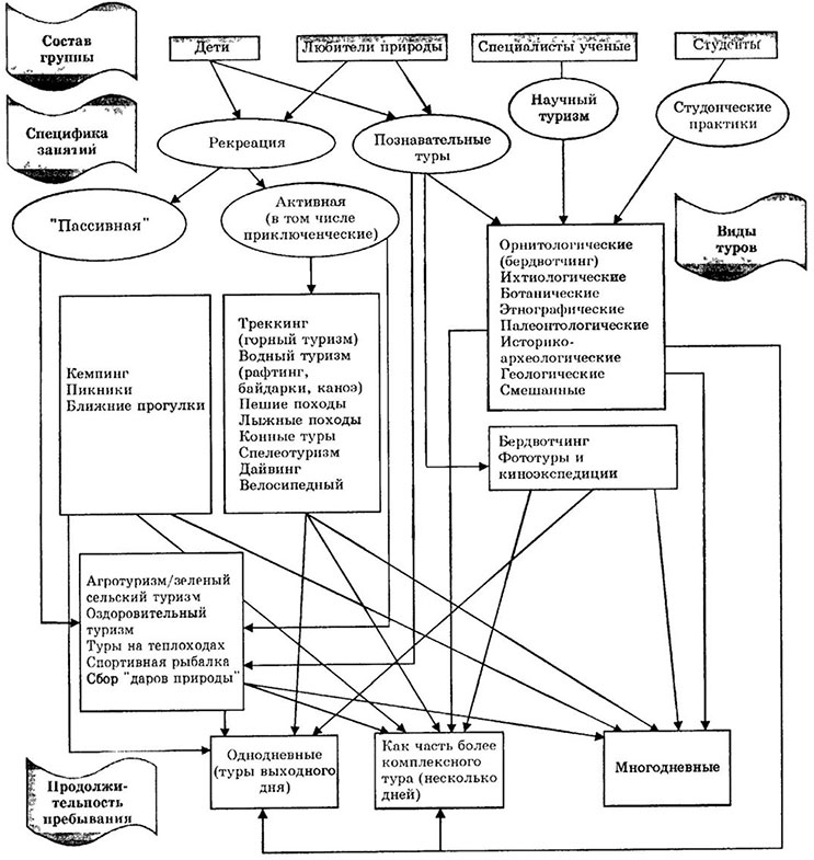 Научного развития туризма. Классификация видов экотуризма. Классификация экологического туризма. Виды экологического туризма схема. Подвиды экологического туризма.