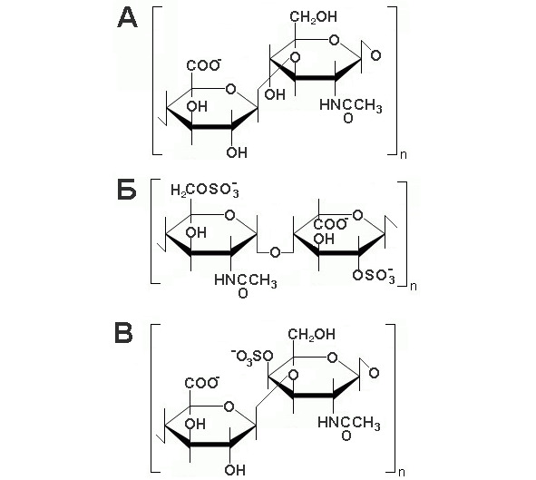 Хитин формула. Хитин структурная формула. Гиалуроновая кислота полисахарид. Строение мукополисахаридов. Мукополисахариды формула.