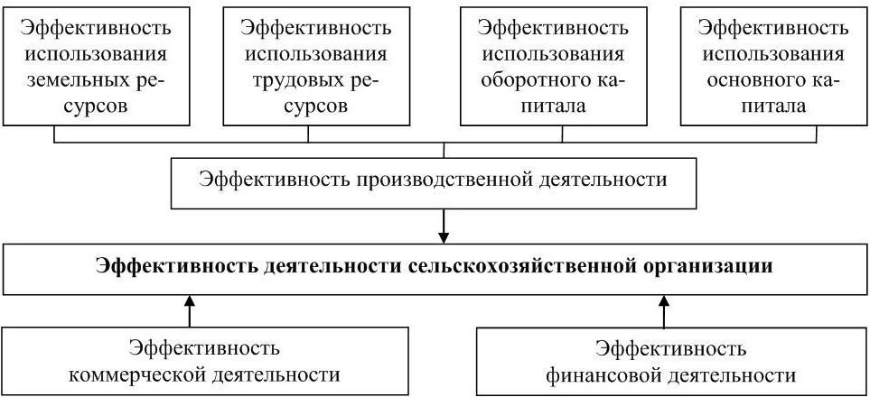 Эффективность деятельности предприятия. Экономическая эффективность схема. Пути повышения эффективности экономической эффективности. Эффективность производственной деятельности предприятия. Пути повышения экономической эффективности предприятия.